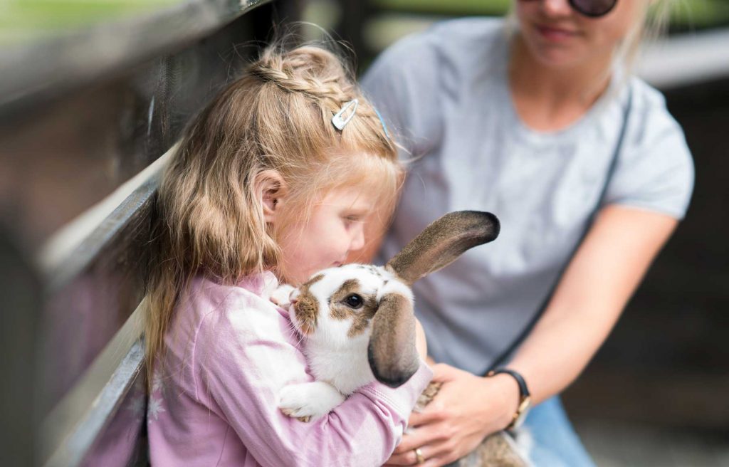 Kos med kanin på Barnas Bondegård på Blaafarveværket.